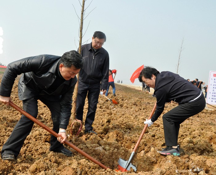 1552375504496457.jpg _DSC0015 羅.jpg