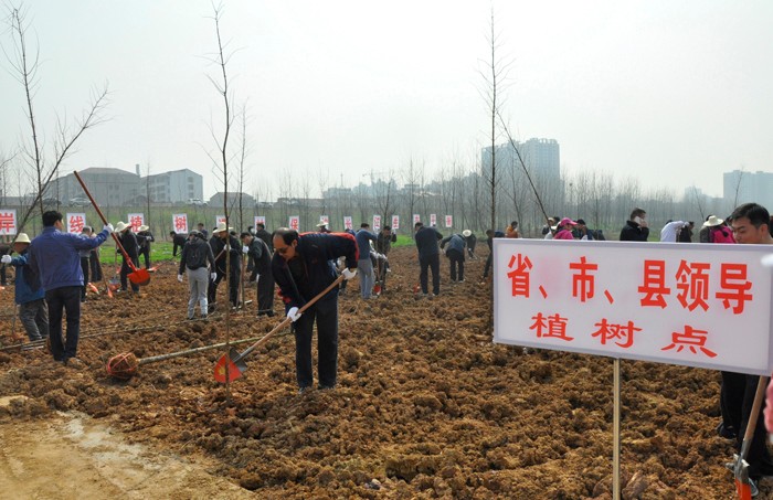 1552376061139573.jpg _DSC0021 植.jpg