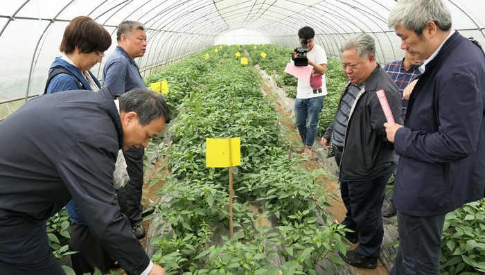 1558409757174536.jpg dd 4調(diào)研組在浠水縣馬橋港村農(nóng)業(yè)生態(tài)產(chǎn)業(yè)園實(shí)地調(diào)研.jpg