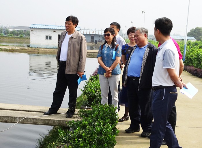 1558410021491379.jpg ee 5調(diào)研組在云夢(mèng)縣沙河鄉(xiāng)北湖灣休閑漁業(yè)基地實(shí)地調(diào)研.jpg