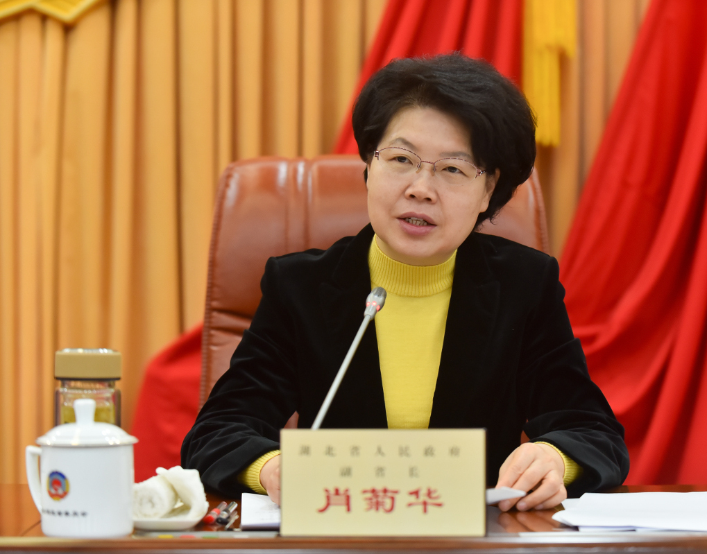 3 省政府副省長(zhǎng)肖菊華到會(huì)通報(bào)2019年我省經(jīng)濟(jì)工作情況.jpg