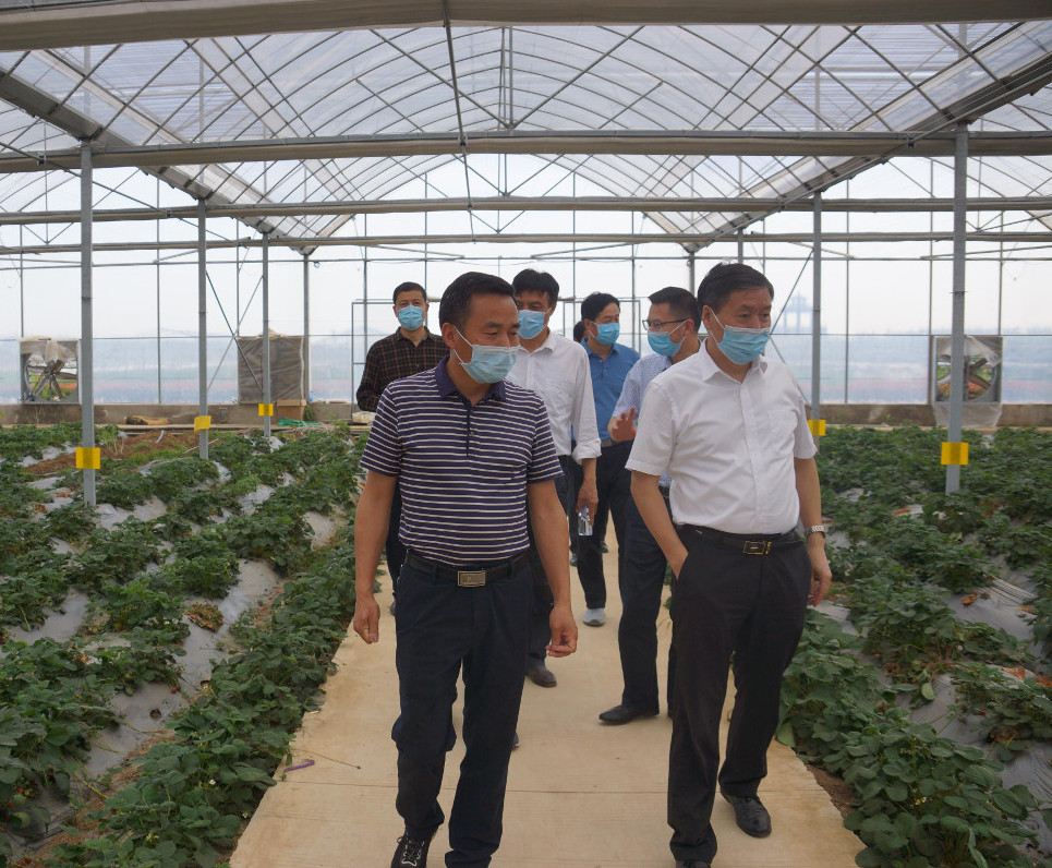 調(diào)研組一行在葛蓬崗生態(tài)農(nóng)業(yè)基地實地考察.jpg 調(diào)研組一行在葛蓬崗生態(tài)農(nóng)業(yè)基地實地考察.jpg