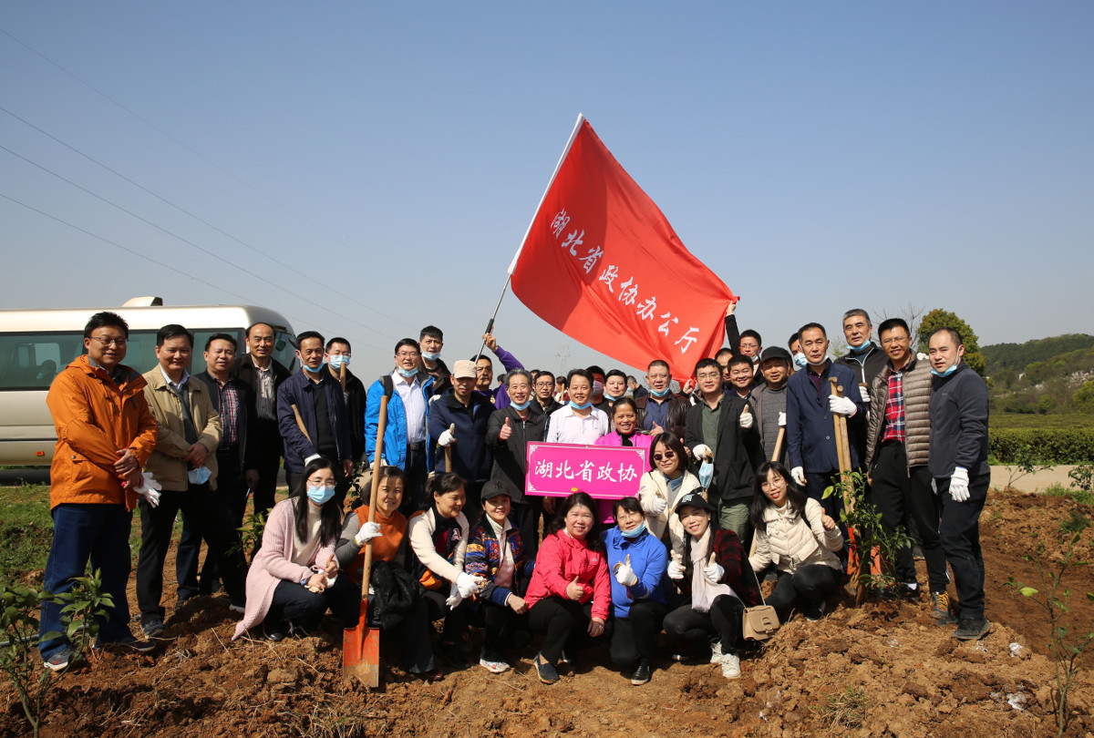 植樹.jpg 植樹.jpg