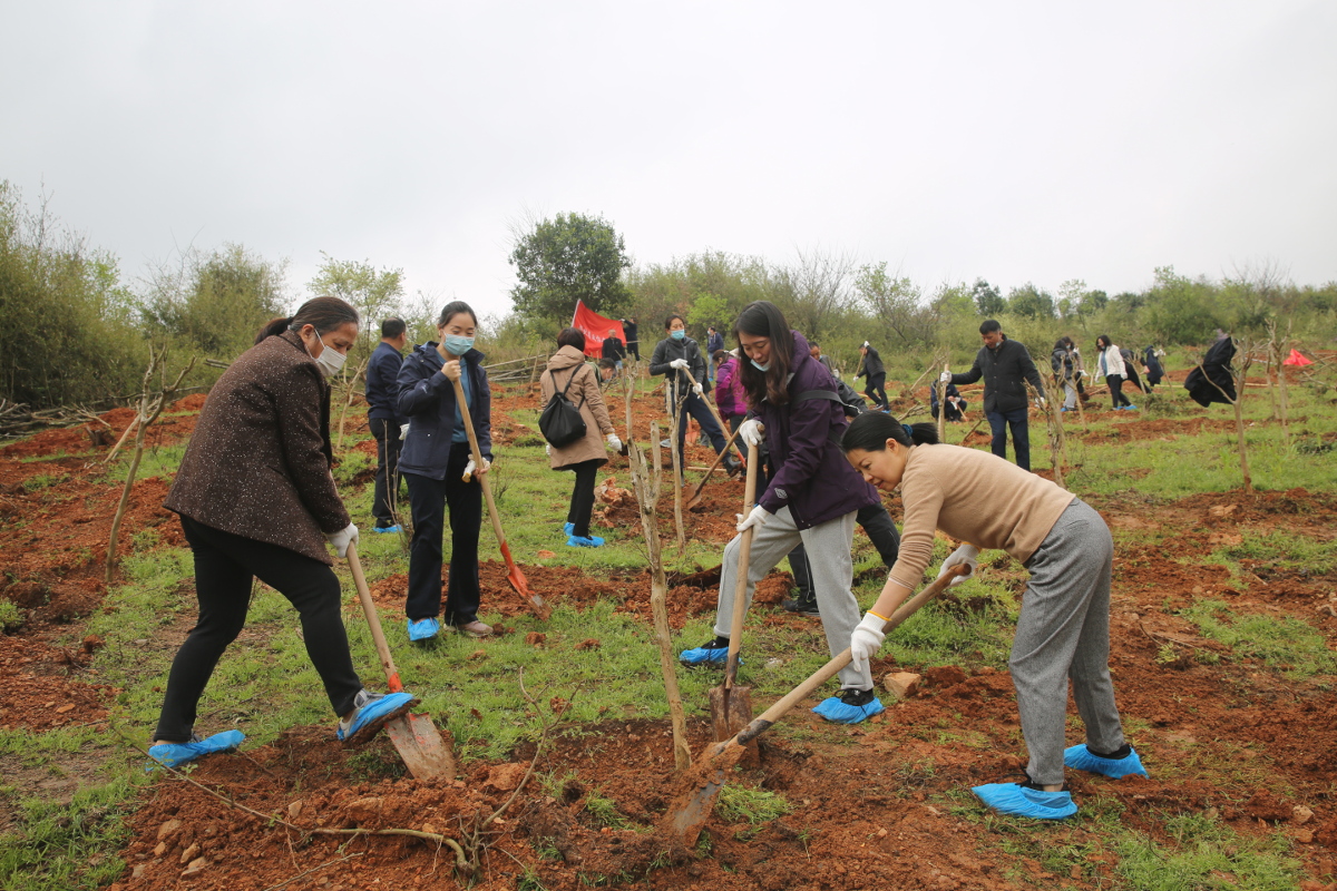 22webwxgetmsgimg.jpg 22webwxgetmsgimg.jpg