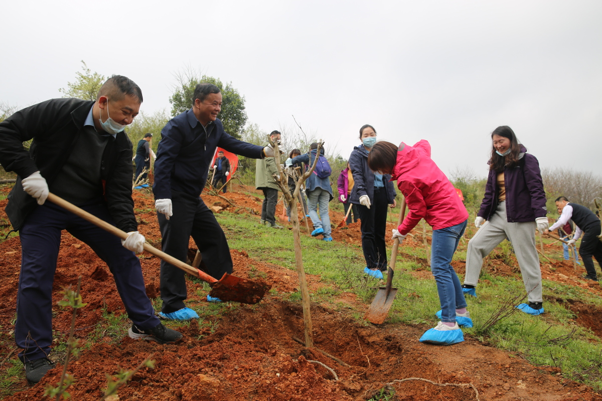 33webwxgetmsgimg.jpg 33webwxgetmsgimg.jpg