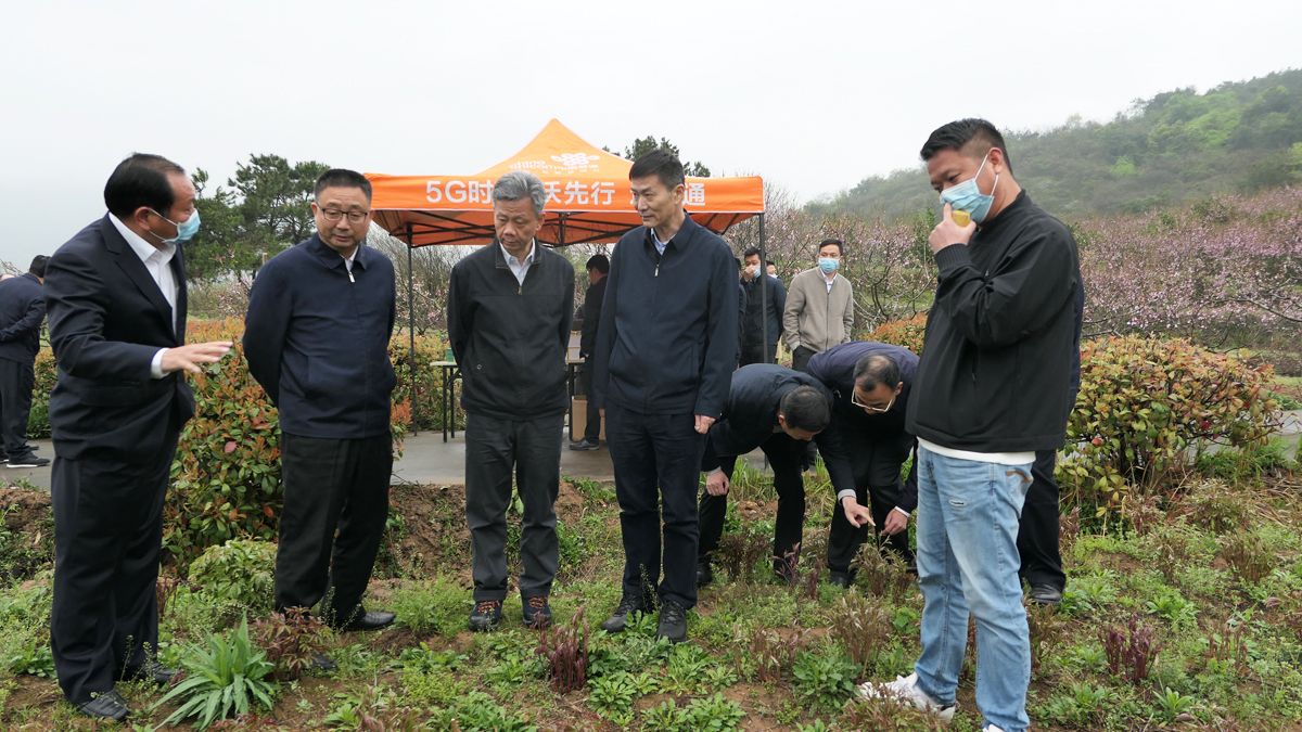 5調研組在鄂城區(qū)汀祖鎮(zhèn)欣農種養(yǎng)殖專業(yè)合作社實地調研.JPG 5調研組在鄂城區(qū)汀祖鎮(zhèn)欣農種養(yǎng)殖專業(yè)合作社實地調研.JPG