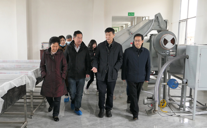 7調研組在陽新調研新塘春茶場.JPG 7調研組在陽新調研新塘春茶場.JPG