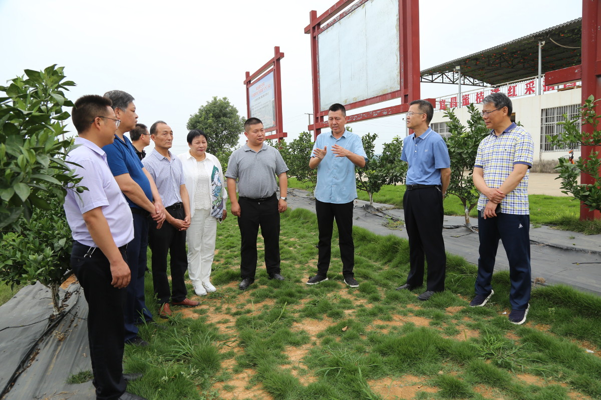 圖片2.jpg 圖片2.jpg