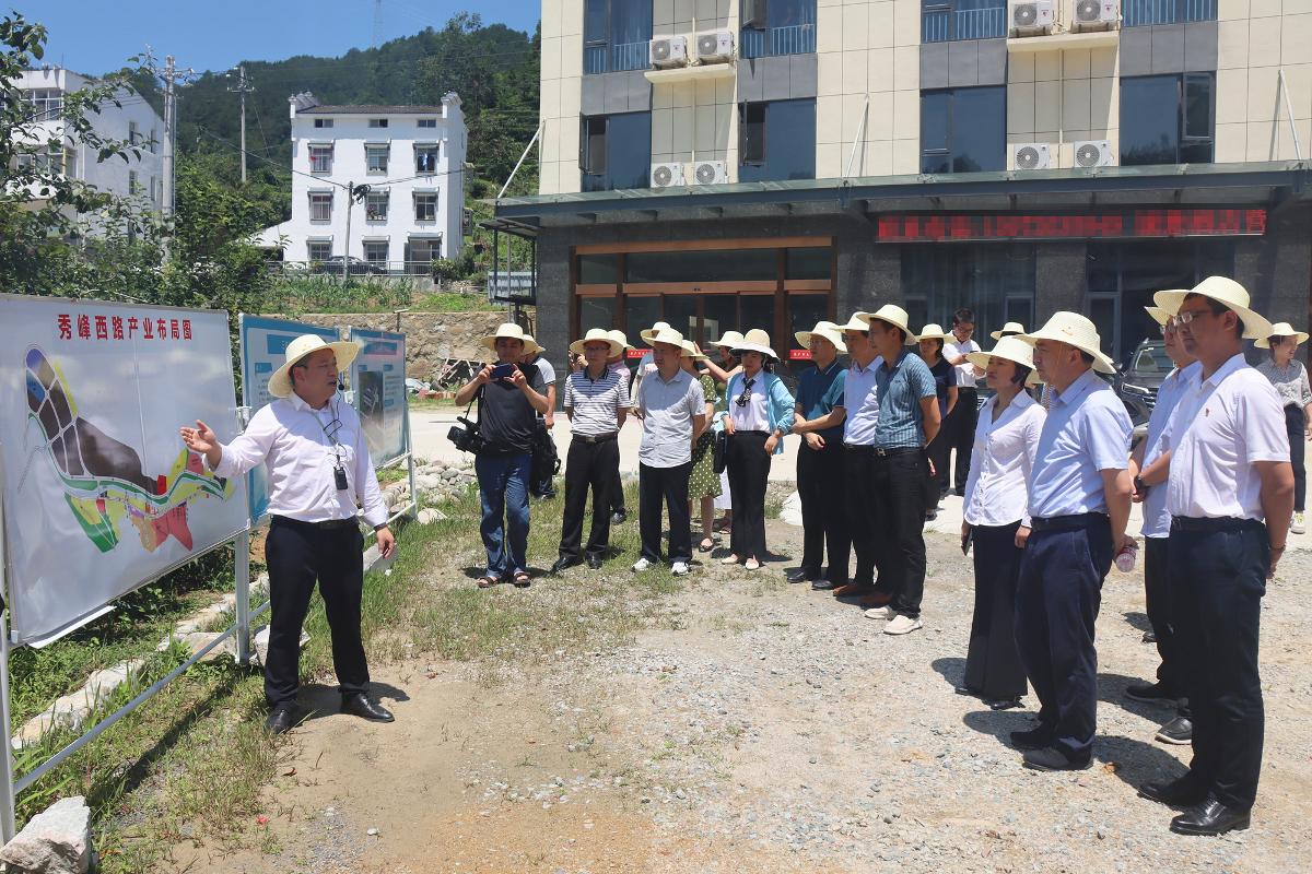 天麻2.jpg 天麻2.jpg