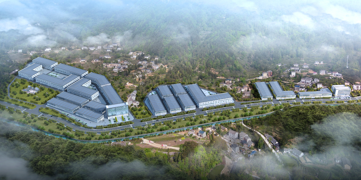 天麻3.jpg 天麻3.jpg