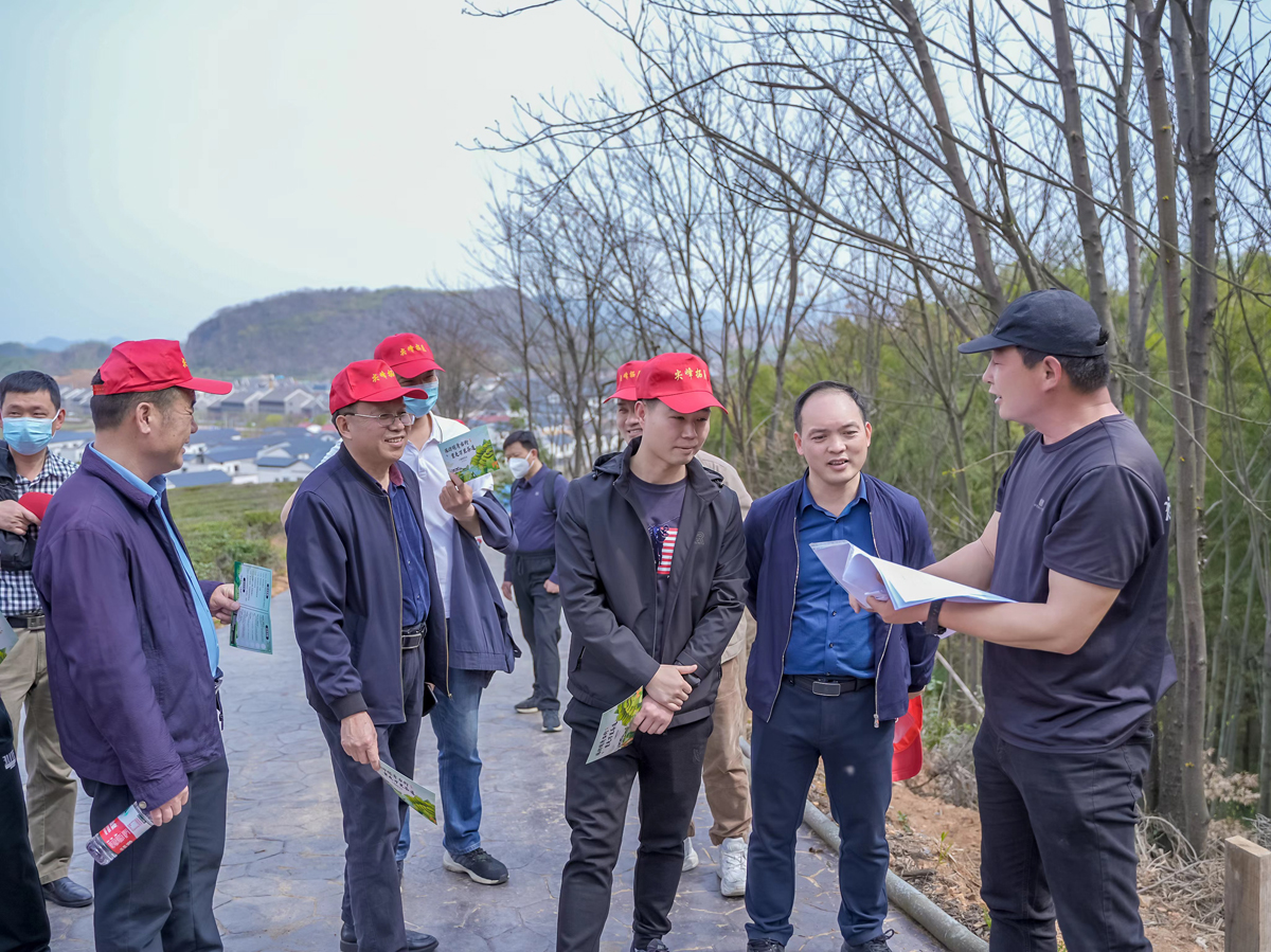 653ce3b5e89e47d934c345050399fb0.jpg 653ce3b5e89e47d934c345050399fb0.jpg