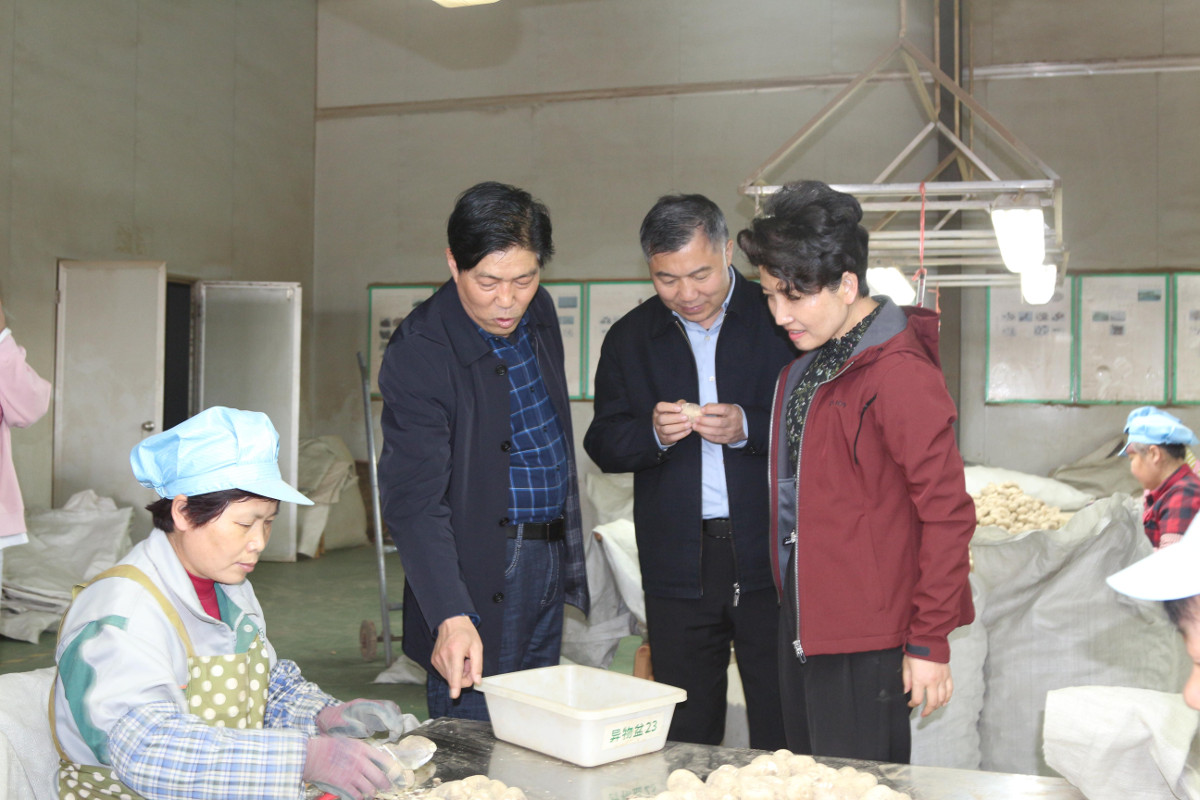 圖片1.jpg 圖片1.jpg