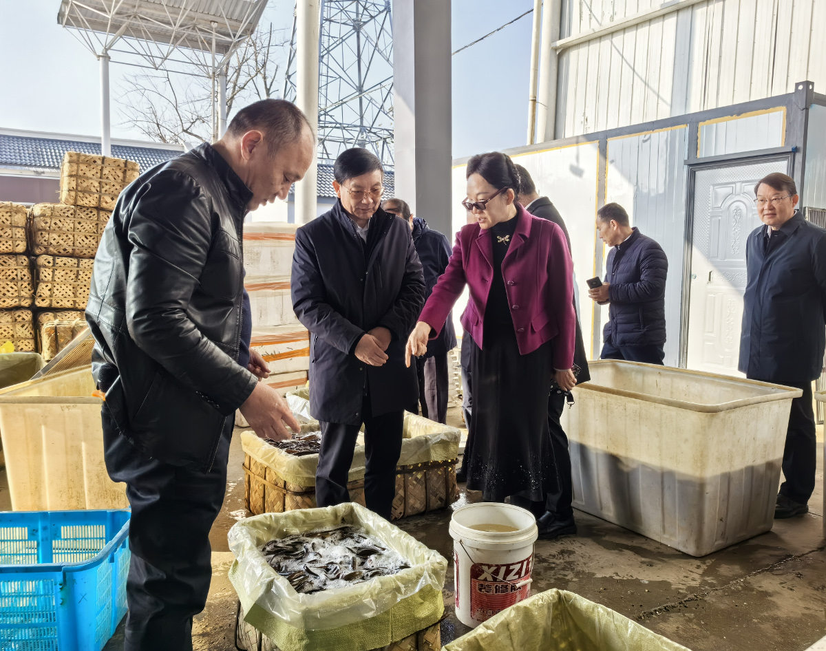 2084808828.jpg 2084808828.jpg