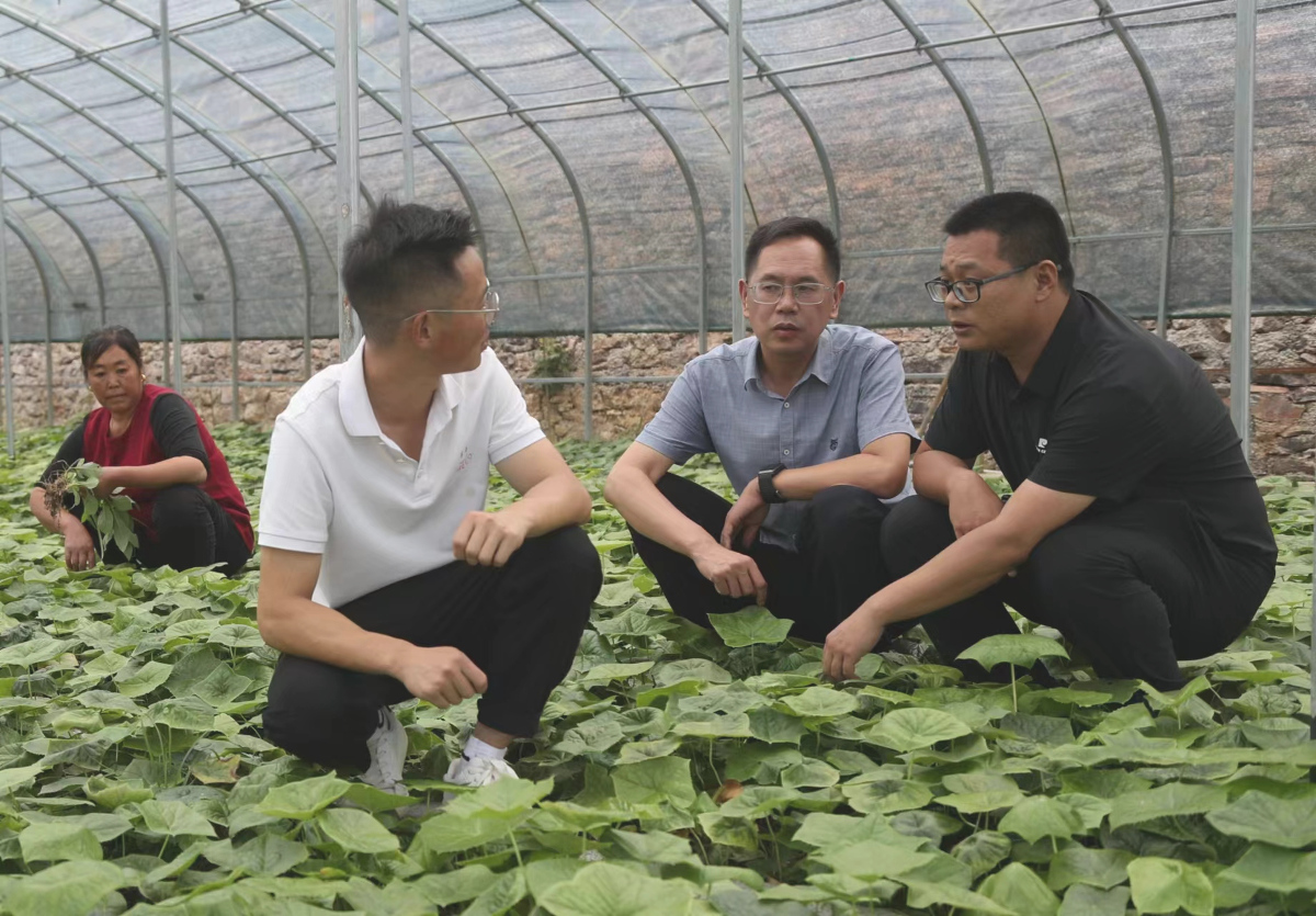 1934002745.jpg 1934002745.jpg