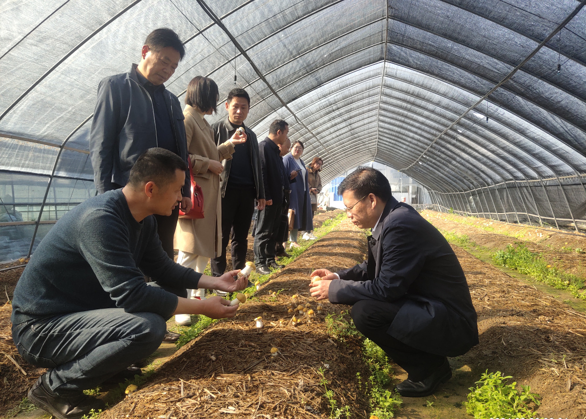 615D0402@7C02F169.777F0666 (1) (復(fù)件).jpg 615D0402@7C02F169.777F0666 (1) (復(fù)件).jpg