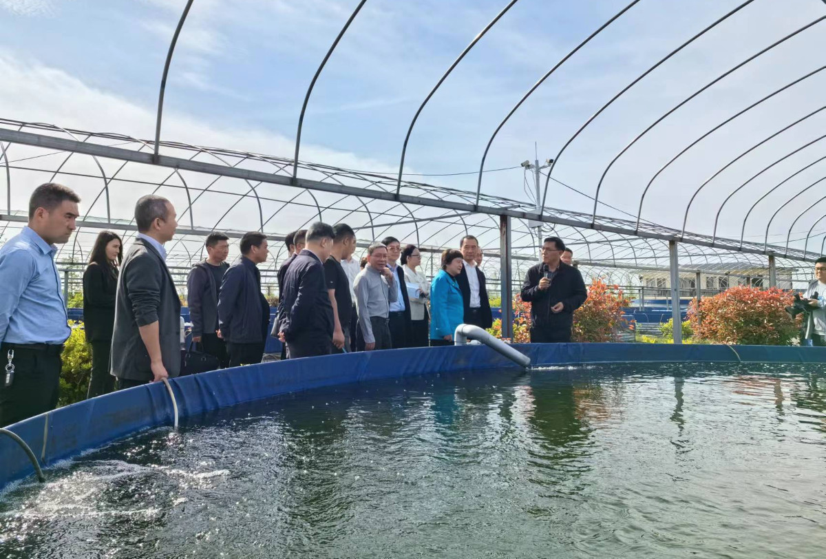 1218946499.jpg 1218946499.jpg