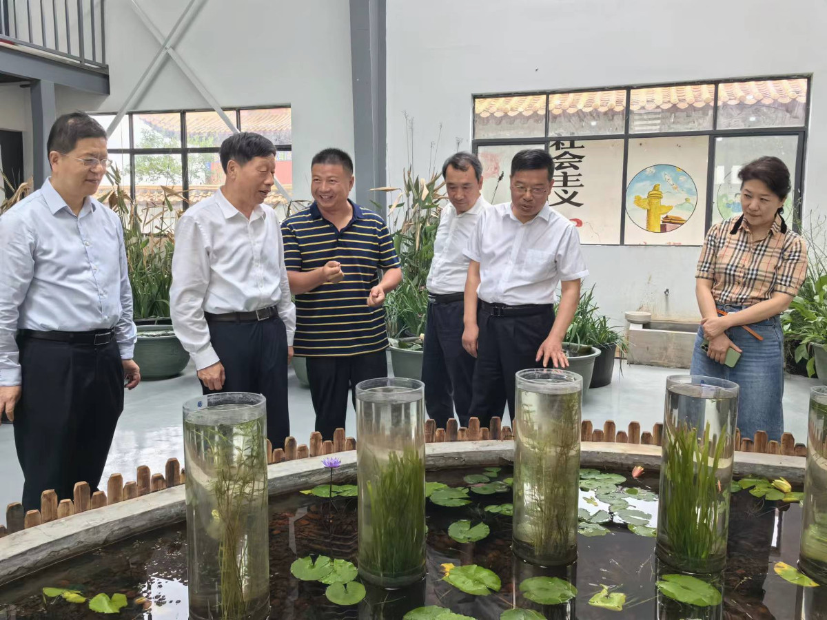 1081338375.jpg 1081338375.jpg