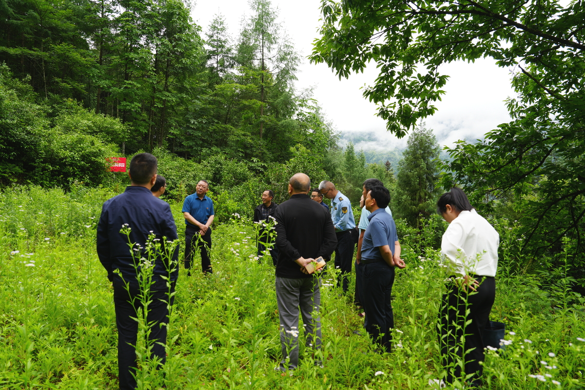 DSC05731 (1).jpg DSC05731 (1).jpg