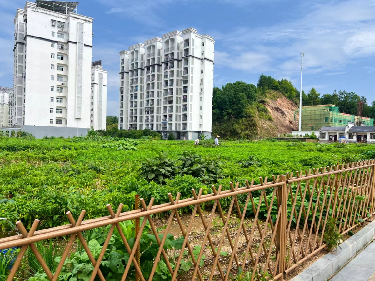 300B3273@7D41A462.E0198566.jpg 300B3273@7D41A462.E0198566.jpg