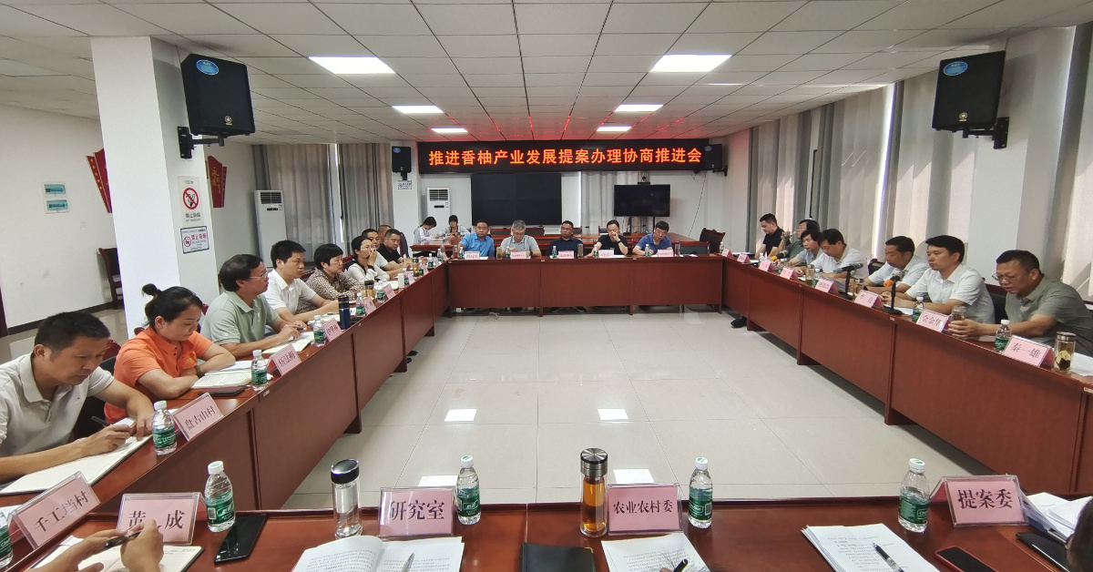 2.推進(jìn)香柚產(chǎn)業(yè)發(fā)展提案辦理協(xié)商推進(jìn)會現(xiàn)場.jpg 2.推進(jìn)香柚產(chǎn)業(yè)發(fā)展提案辦理協(xié)商推進(jìn)會現(xiàn)場.jpg
