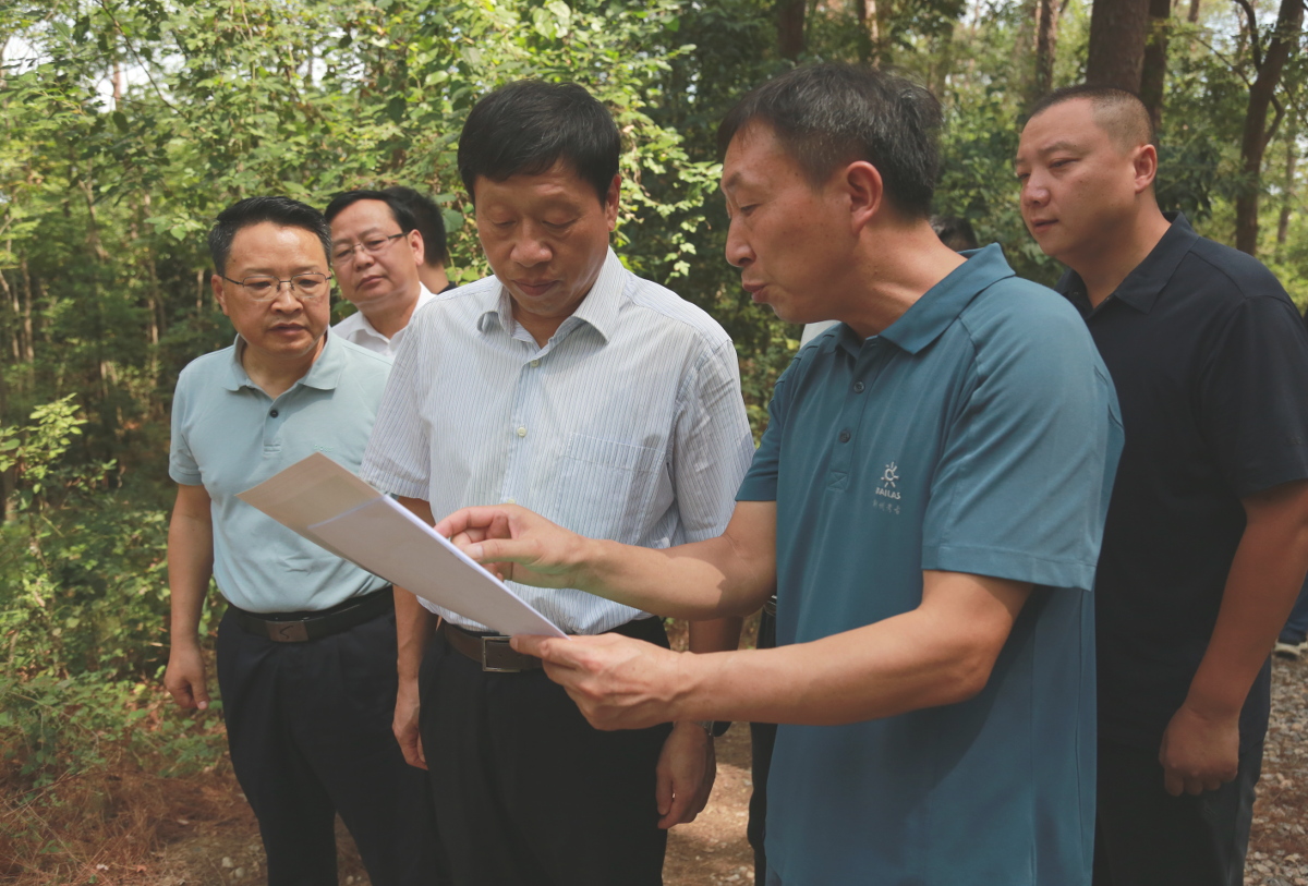 183187885.jpg 183187885.jpg