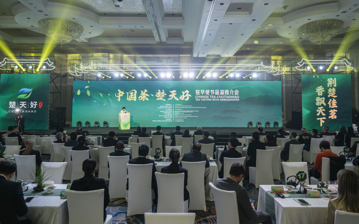 923677306.jpg 923677306.jpg