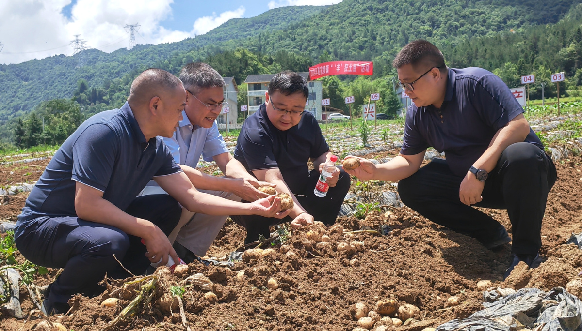 44953585.jpg 44953585.jpg