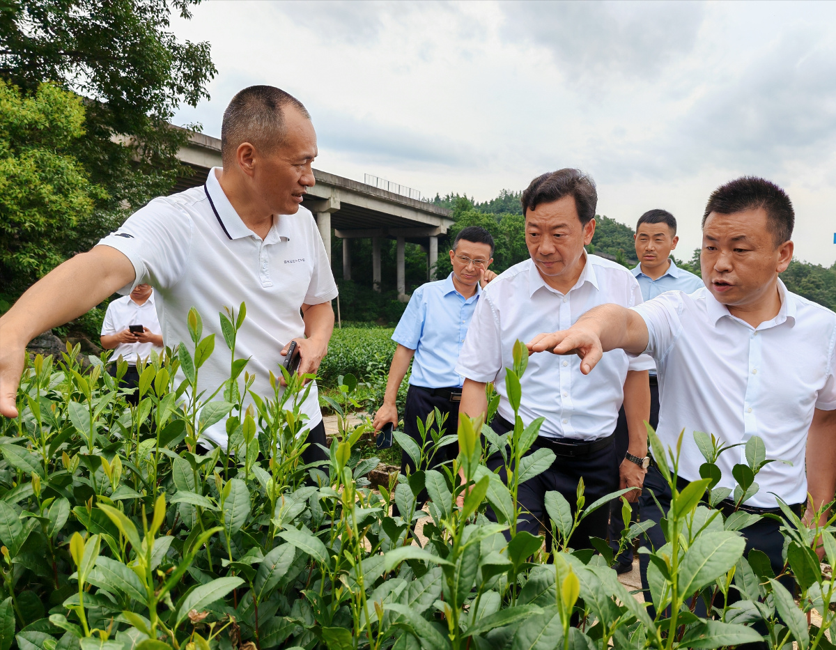 812620631.jpg 812620631.jpg