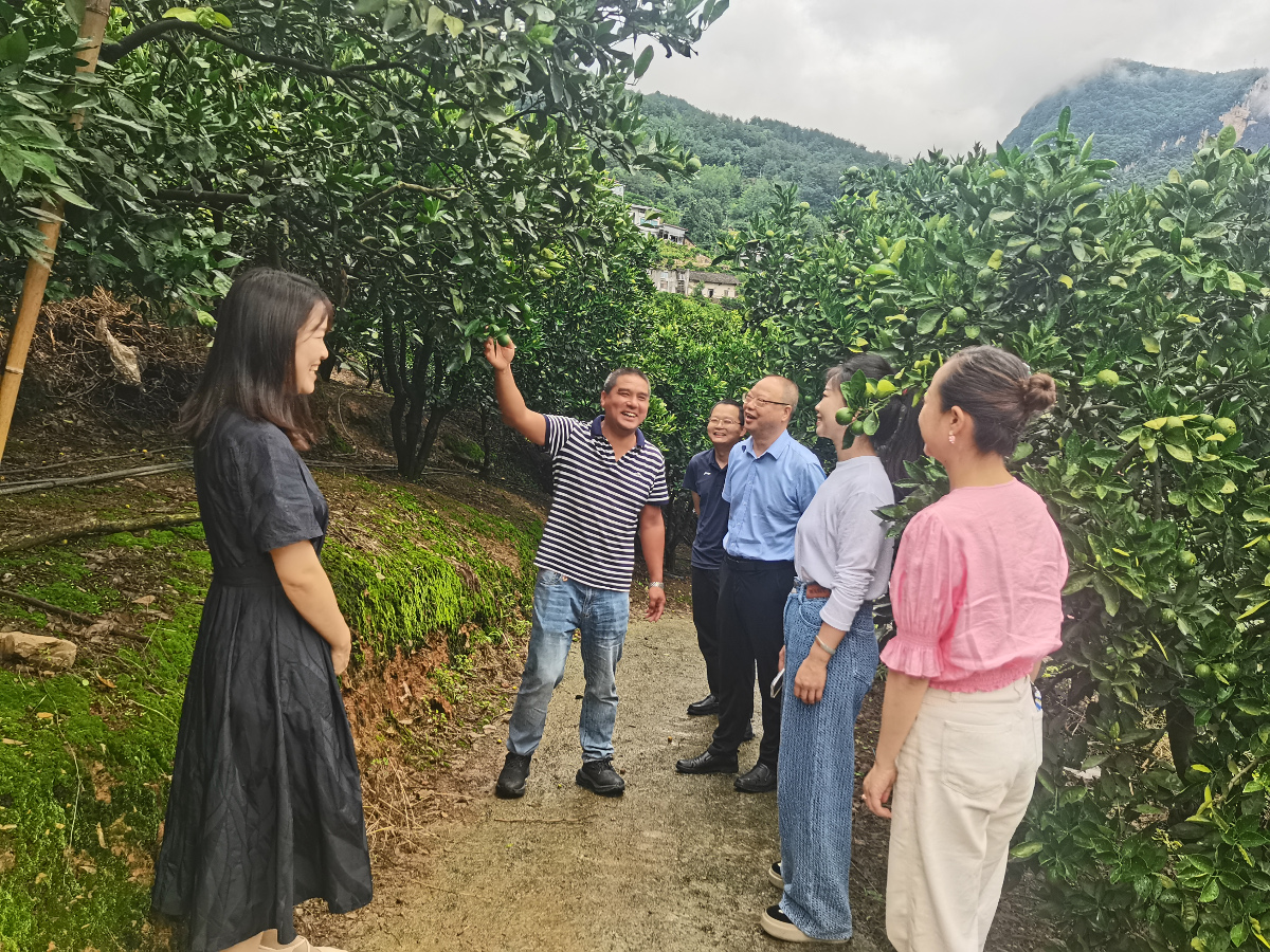 微信圖片_20250627154850.jpg 微信圖片_20250627154850.jpg