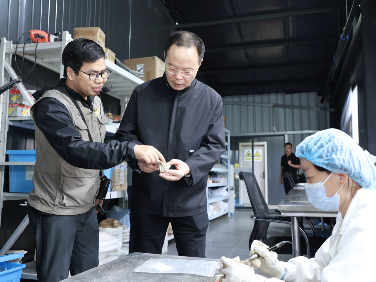 孫偉在鄖陽區(qū)青曲鎮(zhèn)學(xué)堂梁子(鄖縣人)遺址調(diào)研考古遺址保護(hù)和利用工作.jpg 孫偉在鄖陽區(qū)青曲鎮(zhèn)學(xué)堂梁子(鄖縣人)遺址調(diào)研考古遺址保護(hù)和利用工作.jpg