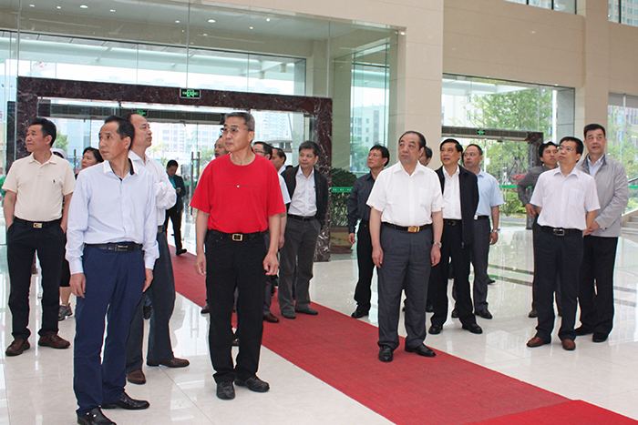 1 1省政協(xié)醫(yī)衛(wèi)界別委員視察漢川市人民醫(yī)院.jpg